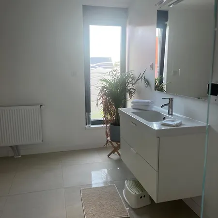 Villa Piscine Chauffee, Jacuzzi Et Sauna Mouscron